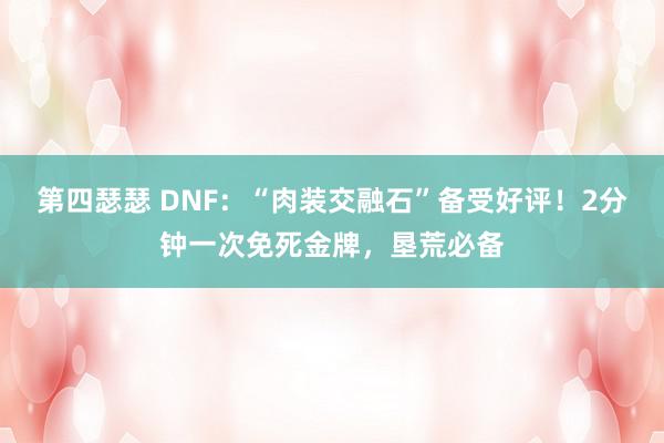 第四瑟瑟 DNF：“肉装交融石”备受好评！2分钟一次免死金牌，垦荒必备