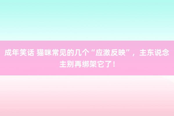 成年笑话 猫咪常见的几个“应激反映”，主东说念主别再绑架它了！