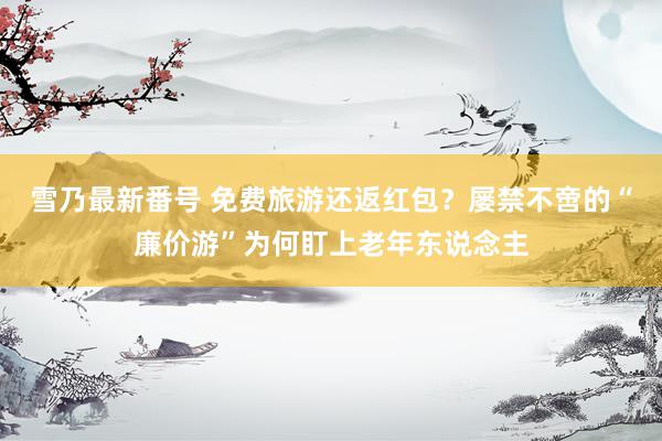 雪乃最新番号 免费旅游还返红包？屡禁不啻的“廉价游”为何盯上老年东说念主