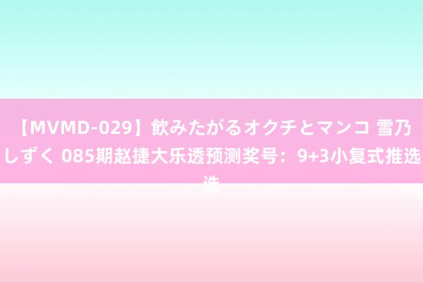 【MVMD-029】飲みたがるオクチとマンコ 雪乃しずく 085期赵捷大乐透预测奖号：9+3小复式推选