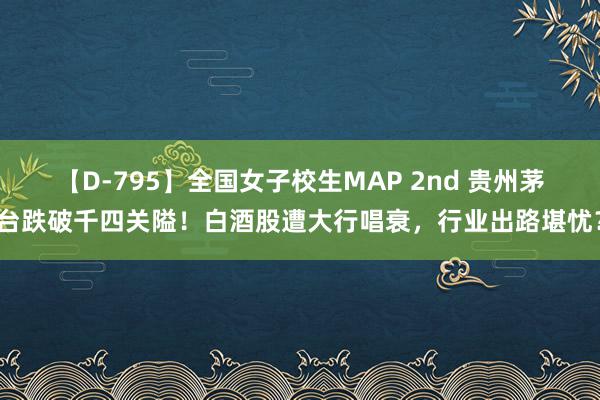 【D-795】全国女子校生MAP 2nd 贵州茅台跌破千四关隘！白酒股遭大行唱衰，行业出路堪忧？