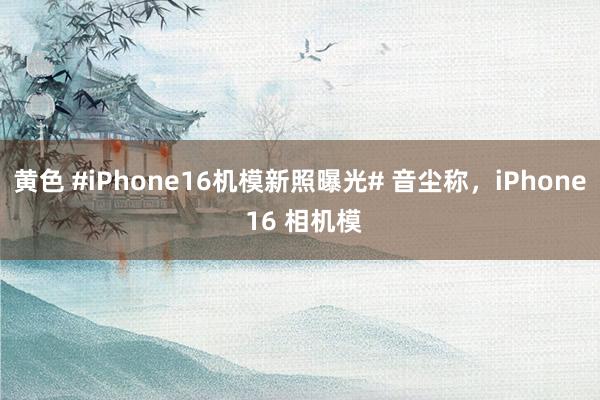 黄色 #iPhone16机模新照曝光# 音尘称，iPhone 16 相机模