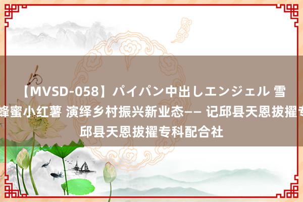 【MVSD-058】パイパン中出しエンジェル 雪乃しずく 蜂蜜小红薯 演绎乡村振兴新业态—— 记邱县天恩拔擢专科配合社