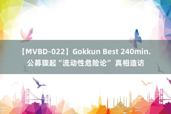 【MVBD-022】Gokkun Best 240min. 公募骤起“流动性危险论” 真相造访