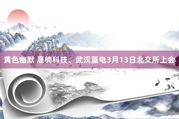 黄色幽默 晟楠科技、武汉蓝电3月13日北交所上会