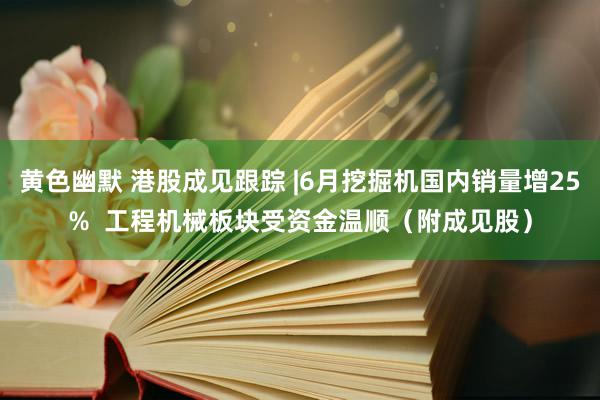 黄色幽默 港股成见跟踪 |6月挖掘机国内销量增25%  工程机械板块受资金温顺（附成见股）