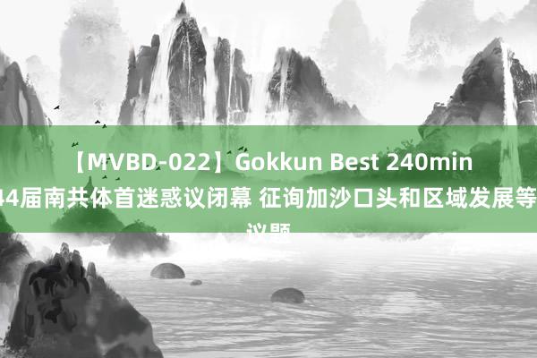 【MVBD-022】Gokkun Best 240min. 第44届南共体首迷惑议闭幕 征询加沙口头和区域发展等议题