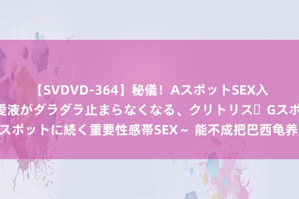 【SVDVD-364】秘儀！AスポットSEX入門 ～刺激した瞬間から愛液がダラダラ止まらなくなる、クリトリス・Gスポットに続く重要性感帯SEX～ 能不成把巴西龟养成这么！讲明你的真爱