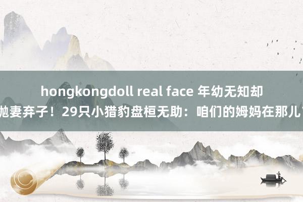 hongkongdoll real face 年幼无知却抛妻弃子！29只小猎豹盘桓无助：咱们的姆妈在那儿？