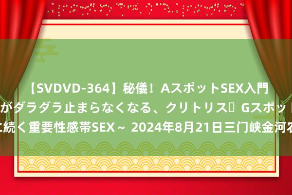 【SVDVD-364】秘儀！AスポットSEX入門 ～刺激した瞬間から愛液がダラダラ止まらなくなる、クリトリス・Gスポットに続く重要性感帯SEX～ 2024年8月21日三门峡金河农家具批发来回中心价钱行情