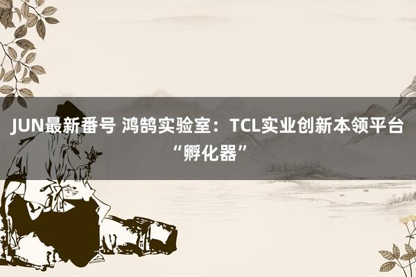 JUN最新番号 鸿鹄实验室：TCL实业创新本领平台“孵化器”