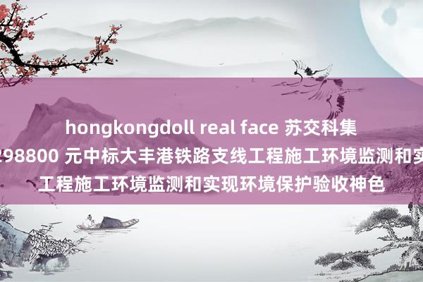 hongkongdoll real face 苏交科集团股份有限公司以 1298800 元中标大丰港铁路支线工程施工环境监测和实现环境保护验收神色