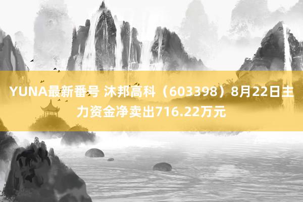 YUNA最新番号 沐邦高科（603398）8月22日主力资金净卖出716.22万元