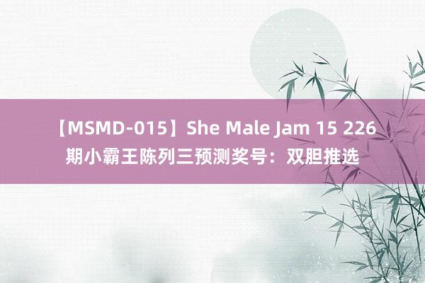 【MSMD-015】She Male Jam 15 226期小霸王陈列三预测奖号：双胆推选