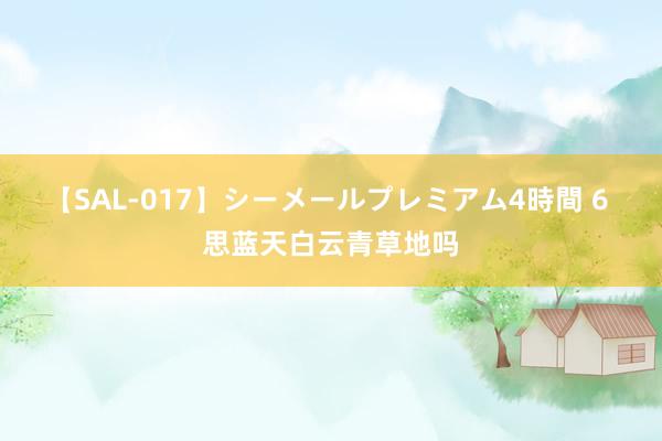 【SAL-017】シーメールプレミアム4時間 6 思蓝天白云青草地吗