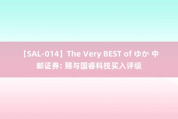 【SAL-014】The Very BEST of ゆか 中邮证券: 赐与国睿科技买入评级